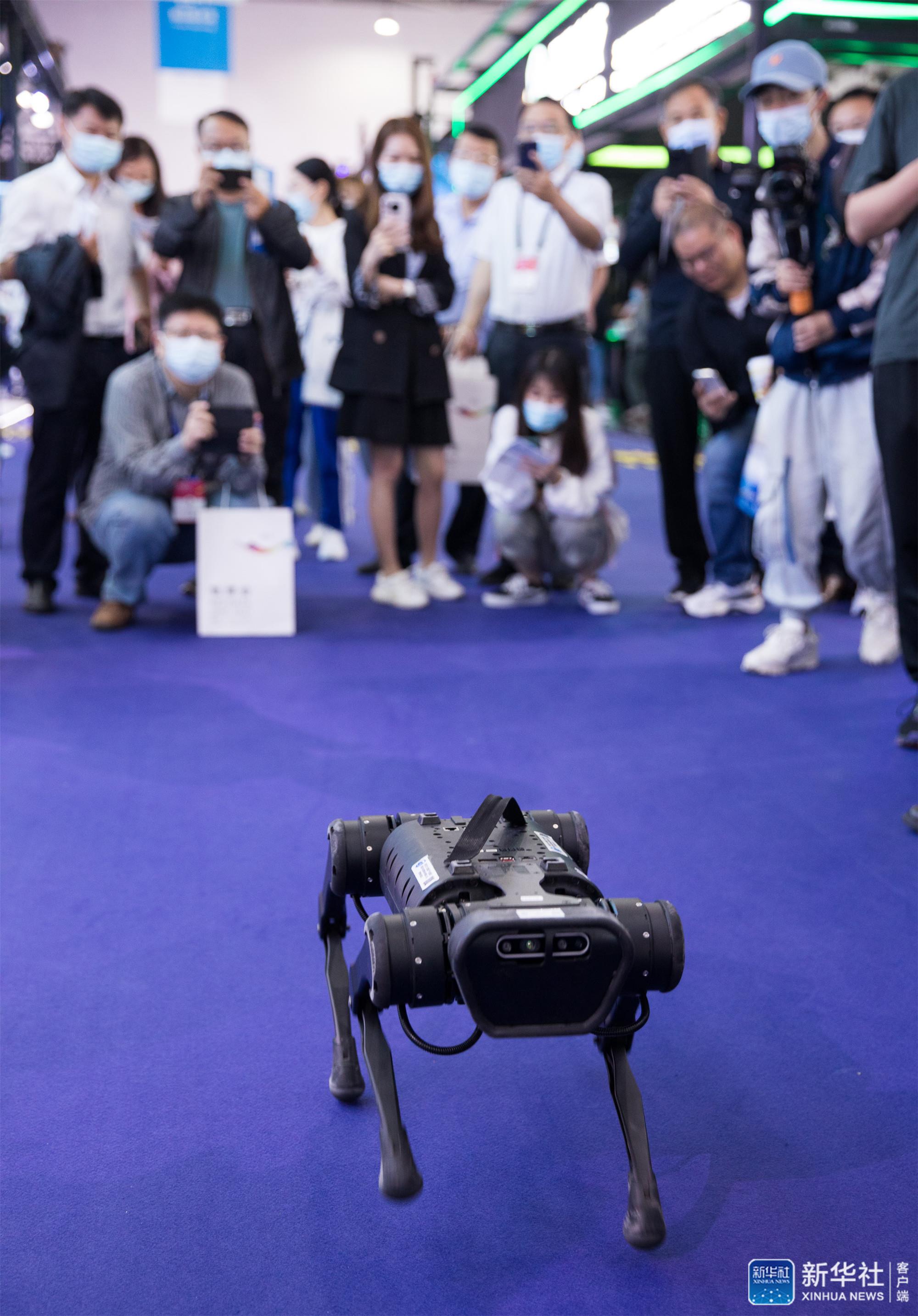新华全媒+｜从人形机器人大赛看人工智能发展新成果