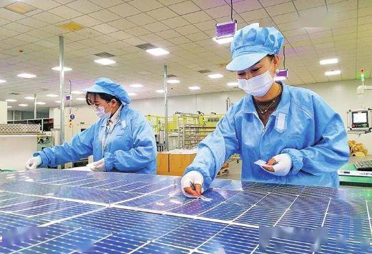 走进企业看信心｜国产手机“上新” 见证产业链新突破