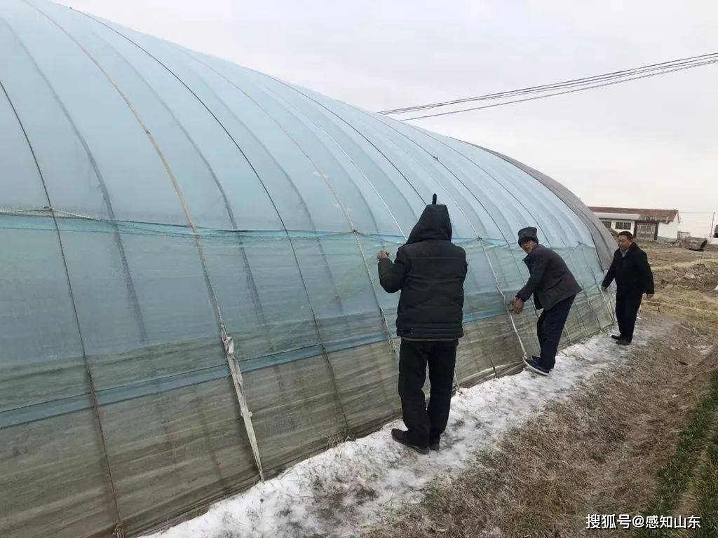国内首个“果树寒潮指数保险+衍生品”落地 ——温度指数创新产品助力北京平谷区桃农应对天气风险