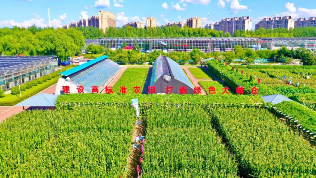 江苏：“智慧大脑”赋能绿色乡村建设