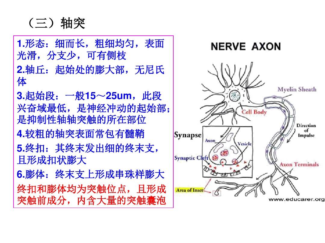 南开大学团队研制出神经形态人工触角系统