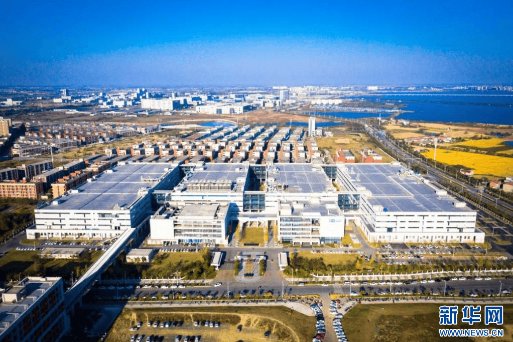 高质量发展调研行｜从大设施到大模型——上海全链条创新跑出“加速度”