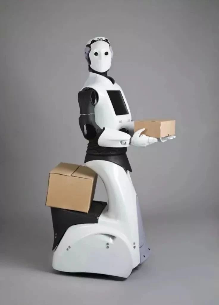 这些有趣的人形机器人争相登场，它们离实际应用有多远？