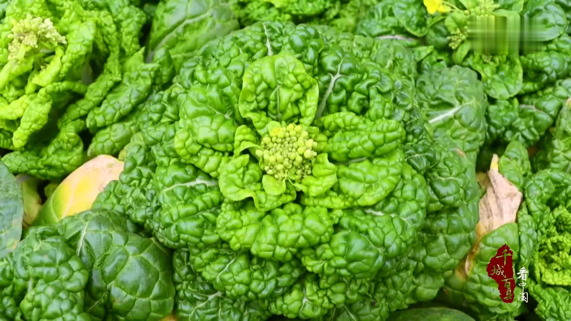 千城百县看中国｜河北南宫：智能植物工厂助力绿色发展