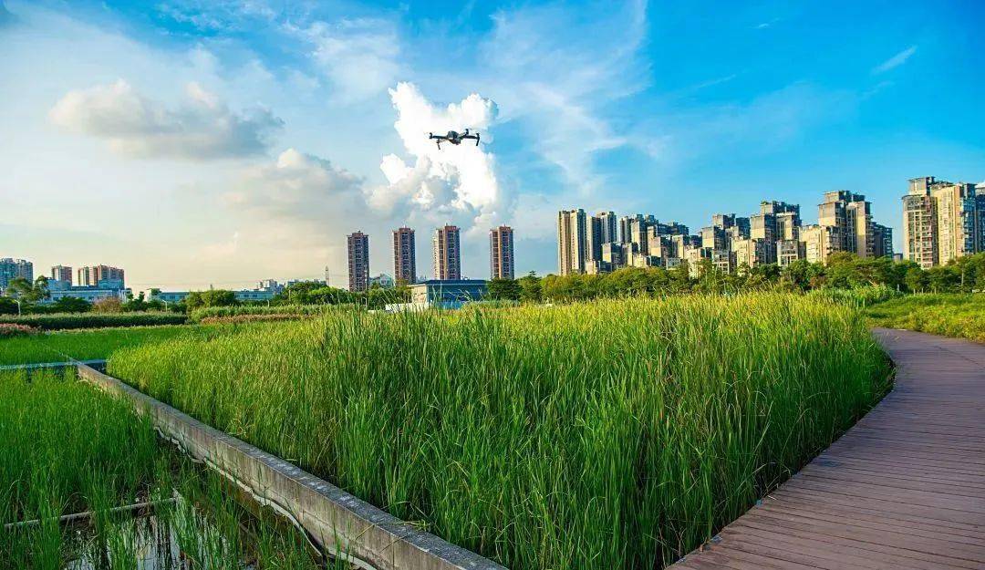 低空经济拓展新赛道