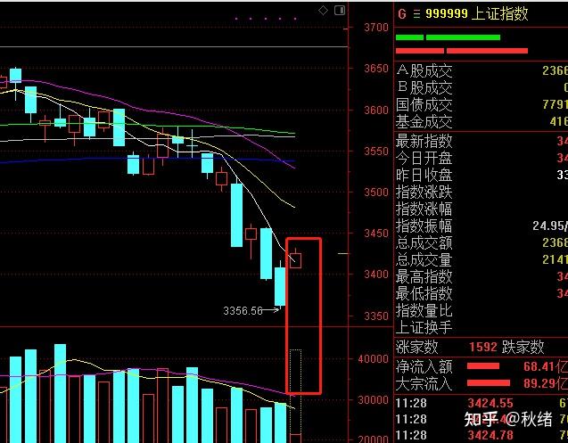 北证50大涨 北交所超跌反弹