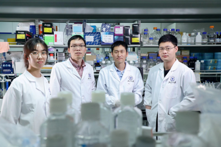 我国科学家发现新型高温超导体