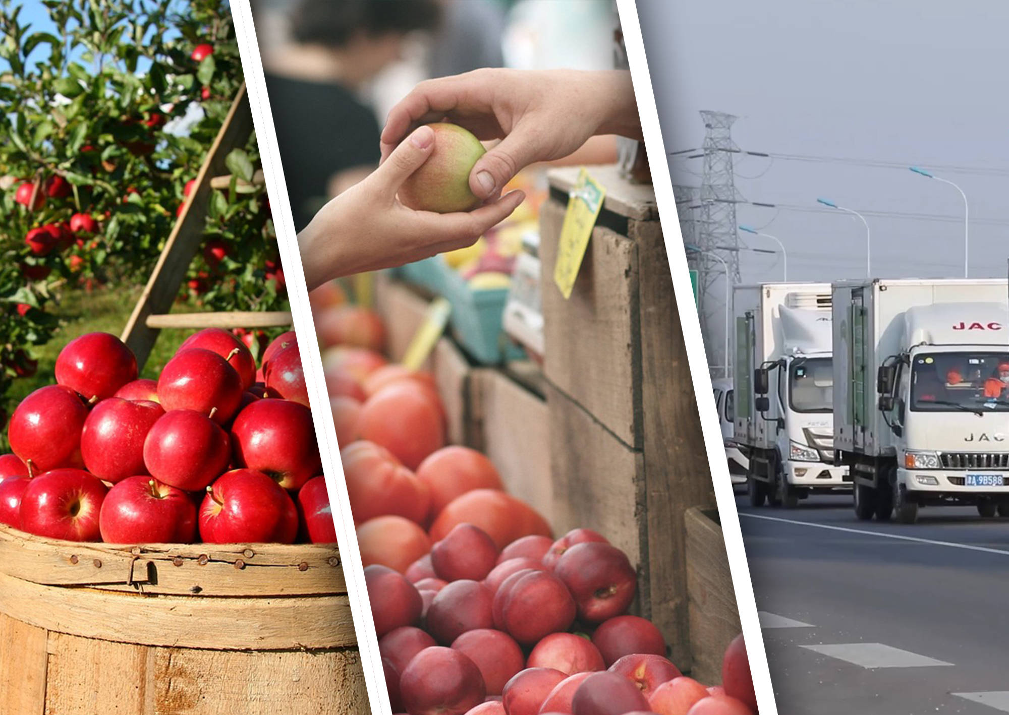 畅通交易“最先一公里”