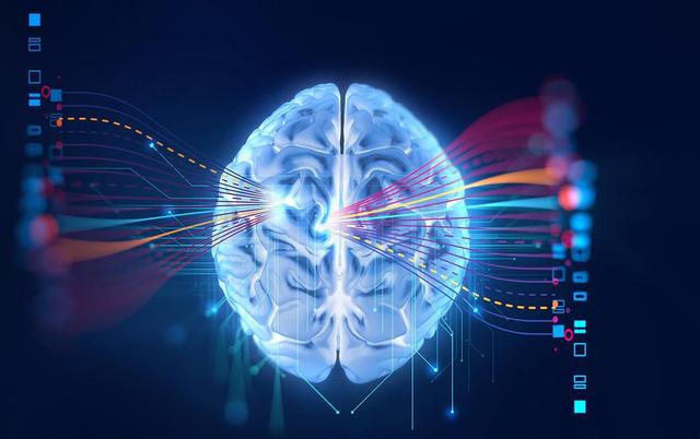 科学家成功解析大脑掌管学习记忆的“分子开关”