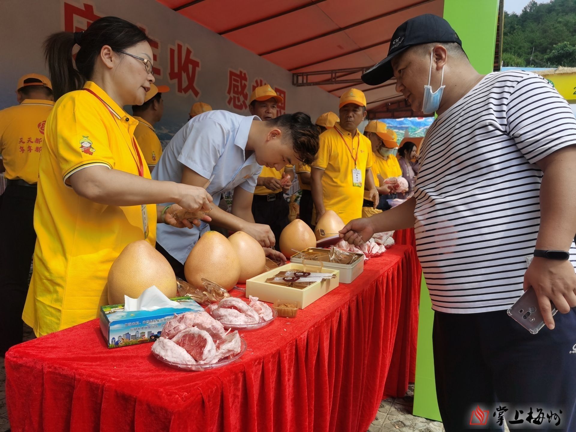 春节假期全国揽投快递包裹超19亿件