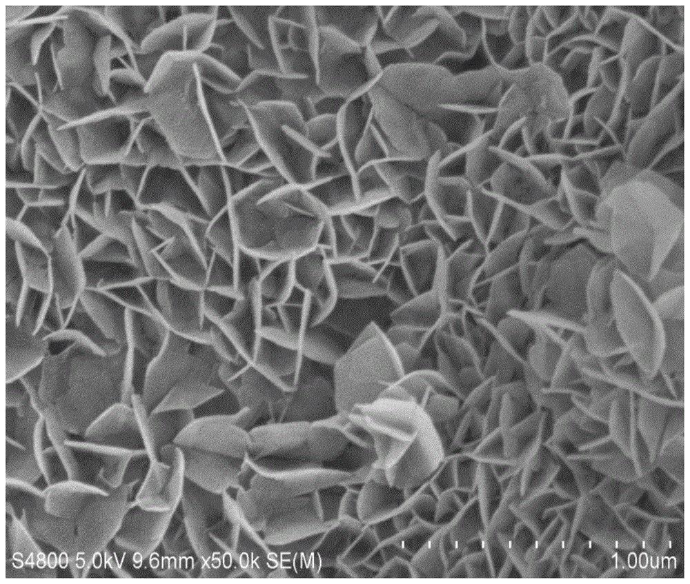 纳米尺上“搭积木”：中国科学家发现常压下镍氧化物具高温超导电性