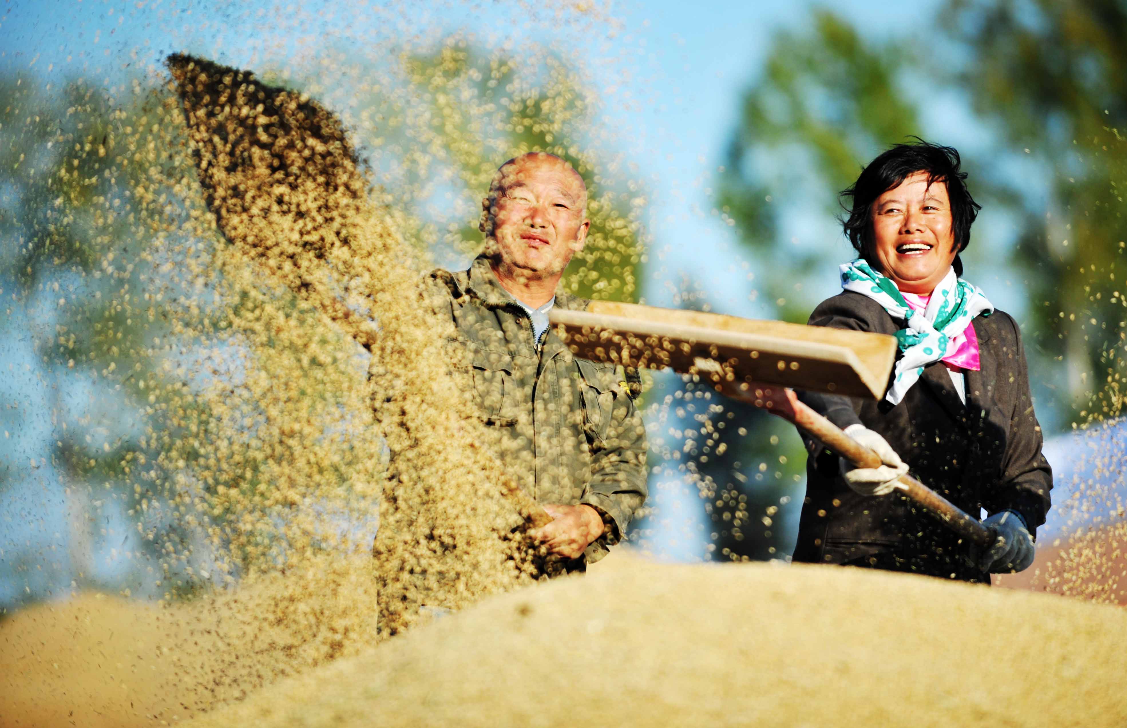 大模型既要“吃得饱”更要“吃得好”