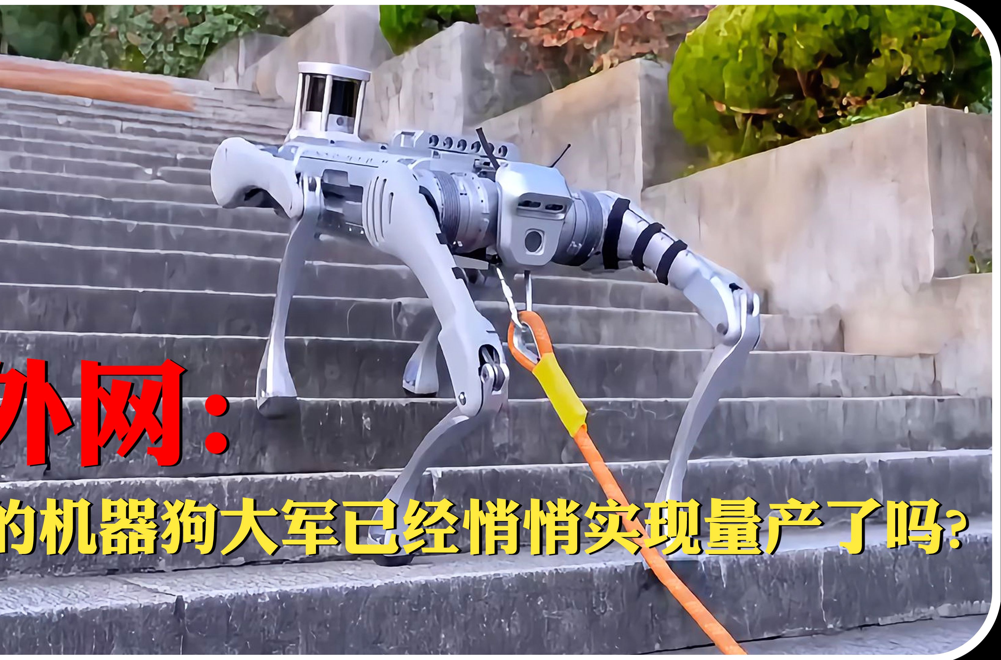 秀我中国｜刷新想象边界！机器人“遛”机器狗