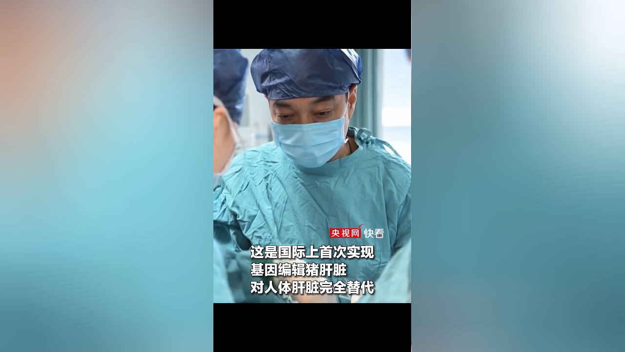 全球首例！中国团队成功将基因编辑猪肝脏移植人体