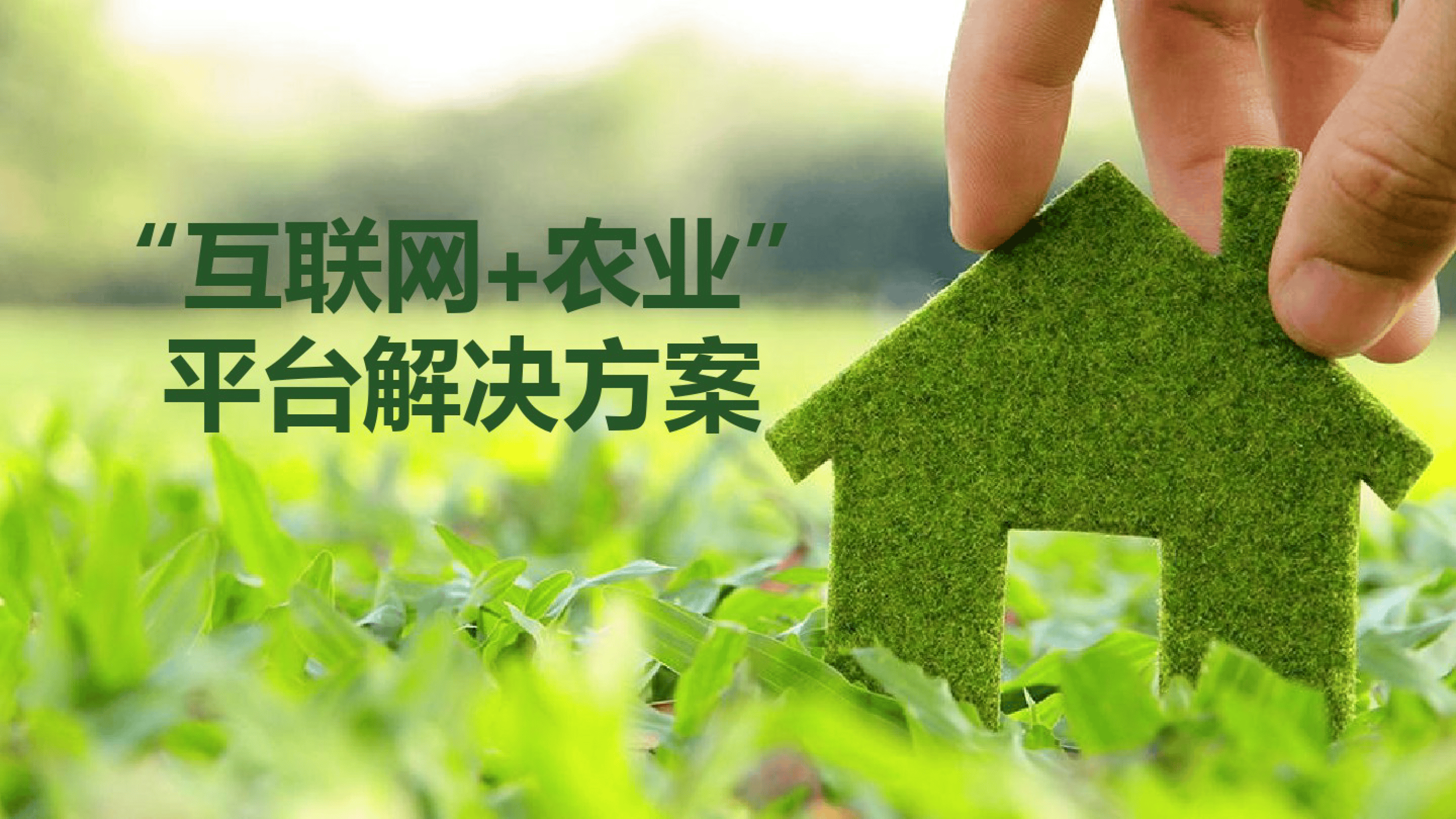 智慧农场，科技拓展想象