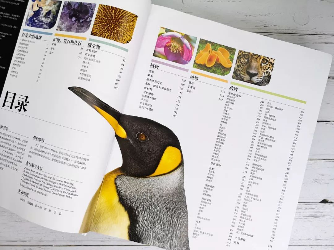 远古鱼龙带来跨越亿年的降噪智慧