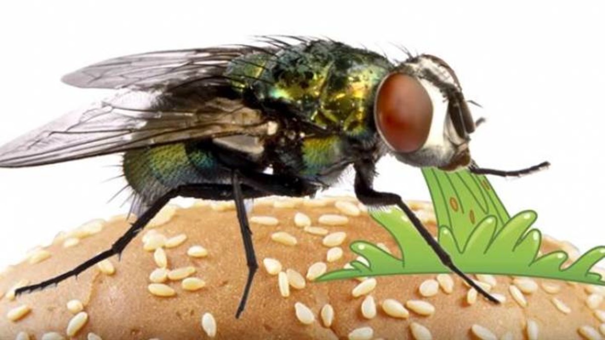 我国科学家发现“吃”硫化氢和甲烷的最深海底生命群落