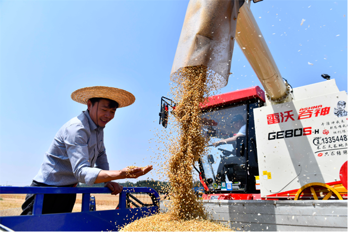 “智造”牵引国产粮机装备升级