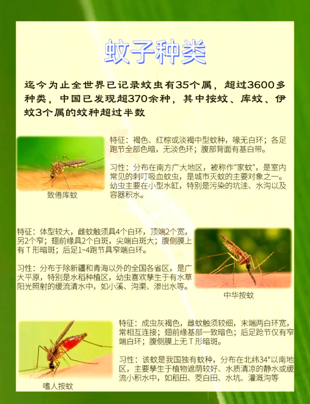 唠“科”话丨为啥蚊子总叮你？“招蚊”跟血型相关？