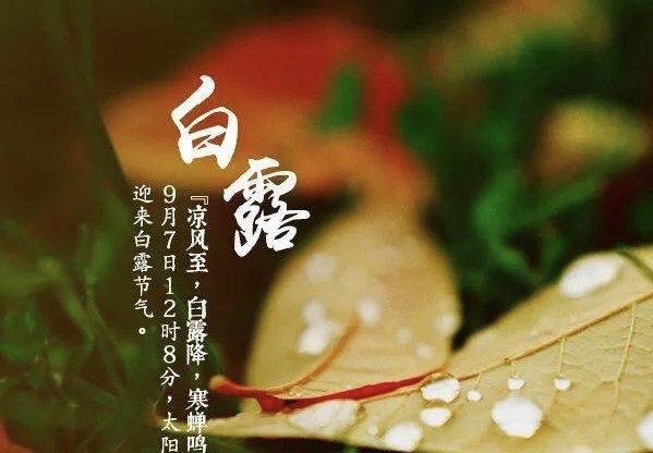 节气物候图鉴:白露至凉意生 全国玉露生凉地图看哪里率先迎秋凉